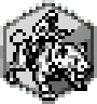 Visual Token