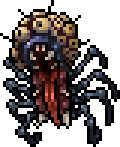 Arachnophobica