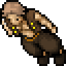 Nomad