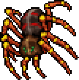 Giant Spider