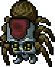 Cave Tarantula