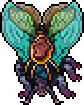 Lacewing Moth