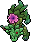 Peony