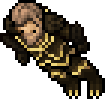 Draccoon Herald