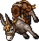 Donkey