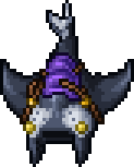 Manta Ray